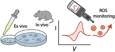 Graphical abstract: A portable and versatile rGO-Co3O4-Pt nanocomposite-based electrochemical sensor for ex vivo and in vivo cardiac oxidative stress monitoring