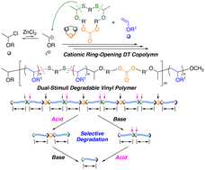 Graphical abstract: Cyclic thioacetal carbonates for dual-stimuli degradable poly(vinyl ether)s with cleavable thioacetal and carbonate bonds evenly distributed in the main chains by cationic degenerative chain-transfer copolymerization