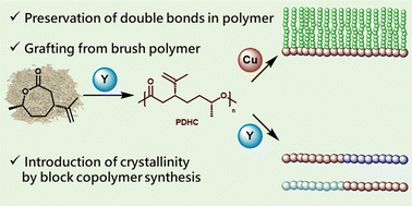 Graphical abstract: Yttrium-mediated ring-opening polymerization of functionalizable dihydrocarvide: tunable terpene-based polyesters using grafting from and block copolymerization strategies