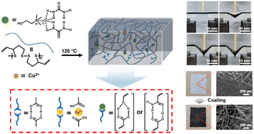 Graphical abstract: Mechanically robust but dynamic elastomers as functional coatings based on dynamic covalent bonds and multiple noncovalent interactions