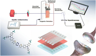 Graphical abstract: Unveiling the switching mechanism of robust tetrazine-based memristive nociceptors via a spectroelectrochemical approach