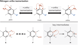 Graphical abstract: A photochemical strategy for aromatic nitrogen ortho-isomerization