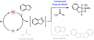 Graphical abstract: Intermolecular transposed Paternò–Büchi reactions enabled by triplet sensitization