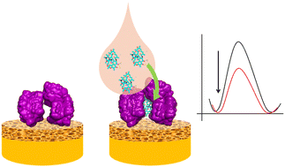 Graphical abstract: Nanomaterial-enhanced electrochemical biosensors for rifampicin monitoring in serum: towards precision tuberculosis therapy