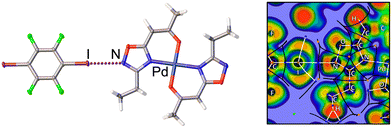 Graphical abstract: Palladium(ii) complexes of 5-acetylmethyl-1,2,4-oxadiazole: versatile ditopic acceptors for halogen bonding