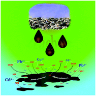 Graphical abstract: A novel thermodynamic approach for the complexation study of toxic metal cations by a landfill leachate