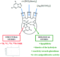 Graphical abstract: Dicarboxylato platinum(ii) complexes containing dimethyl sulfoxide and triazolopyrimidine as potential anticancer agents: synthesis, structural and biological studies in solution