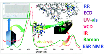 Graphical abstract: Implementation and validation of a multi-purpose virtual spectrometer for large systems in complex environments