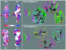 Graphical abstract: A first step towards the understanding of the 5-HT3 receptor subunit heterogeneity from a computational point of view
