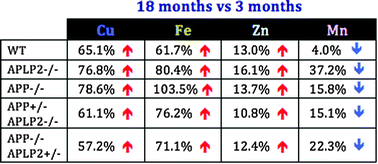 Graphical abstract: Combined deletions of amyloid precursor protein and amyloid precursor-like protein 2 reveal different effects on mouse brain metal homeostasis