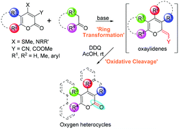 Graphical abstract: Diversity-oriented general protocol for the synthesis of privileged oxygen scaffolds: pyrones, coumarins, benzocoumarins and naphthocoumarins