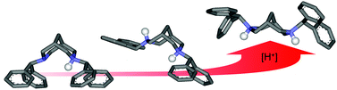 Graphical abstract: Protonation-triggered conformational modulation of an N,N′-dialkylbispidine: first observation of the elusive boat–boat conformer