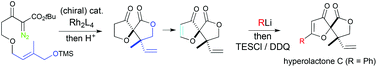 Graphical abstract: An approach to hyperolactone C and analogues using late stage conjugate addition on an oxonium ylide-derived spirofuranone