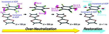 Graphical abstract: Time-resolved X-ray crystal structure analysis for elucidating the hidden ‘over-neutralized’ phase of TTF-CA