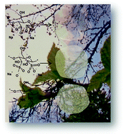 Graphical abstract: Sustainable packaging materials based on wood cellulose