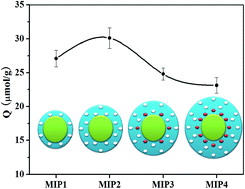 Graphical abstract: Uniform core–shell molecularly imprinted polymers: a correlation study between shell thickness and binding capacity