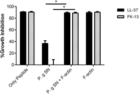 Graphical abstract: Interaction of the core fragments of the LL-37 host defense peptide with actin