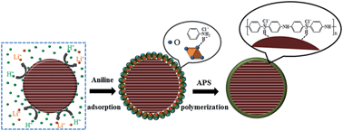 Graphical abstract: In situ polyaniline modified cathode material Li[Li0.2Mn0.54Ni0.13Co0.13]O2 with high rate capacity for lithium ion batteries