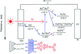 Graphical abstract: Synergistically enhanced photoelectrochemical properties of a layer-by-layer hybrid film based on graphene oxide and a free terpyridyl-grafted ruthenium complex
