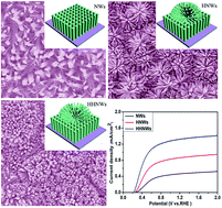 Graphical abstract: Synthesis of three-dimensional hyperbranched TiO2 nanowire arrays with significantly enhanced photoelectrochemical hydrogen production
