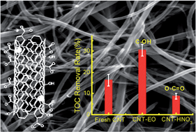 Graphical abstract: Effect of the oxidation approach on carbon nanotube surface functional groups and electrooxidative filtration performance