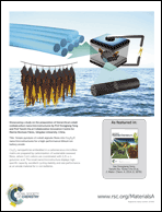 Graphical abstract: Back cover