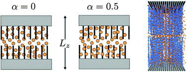 Graphical abstract: Monte Carlo simulations of the static friction between two grafted polymer brushes