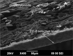 Graphical abstract: In situ synthesis of novel ZIF-8 membranes on polymeric and inorganic supports