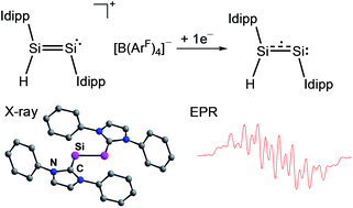Graphical abstract: The Si2H radical supported by two N-heterocyclic carbenes