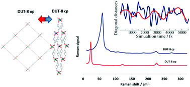 Graphical abstract: Raman spectroscopy studies of the terahertz vibrational modes of a DUT-8 (Ni) metal–organic framework
