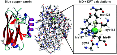 Graphical abstract: Ab initio electronic structure calculations of entire blue copper azurins