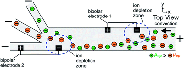 Graphical abstract: Focusing, sorting, and separating microplastics by serial faradaic ion concentration polarization