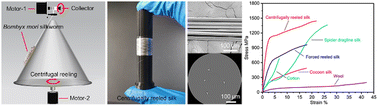 Graphical abstract: High-performance artificially reeled silkworm silk via a multi-task and high-efficiency centrifugal reeling technique and its application in soft actuators