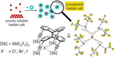 Graphical abstract: Poly-pnictogen bonding: trapping halide ions by a tetradentate antimony(iii) Lewis acid
