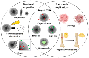 Graphical abstract: In situ modified mesoporous silica nanoparticles: synthesis, properties and theranostic applications
