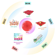 Graphical abstract: Tungsten oxide-based electrocatalysts for energy conversion