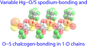 Graphical abstract: On the nature and interplay of Hg⋯O/S spodium bonding and O⋯S chalcogen bonding in one-dimensional phenylmercury(ii) 3-alkoxycyclobutene-1,2-dione-4-thiolate coordination polymers