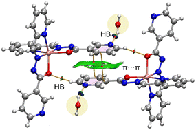 Graphical abstract: Versatile copper(ii) discrete and polymeric coordination compounds with (pyridine-2-yl)methylenenicotinohydrazide and azelaic acid