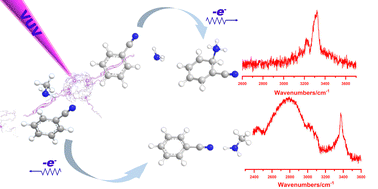 Graphical abstract: Growth mechanism of aromatic prebiotic molecules: insights from different processes of ion–molecule reactions in benzonitrile–ammonia and benzonitrile–methylamine clusters