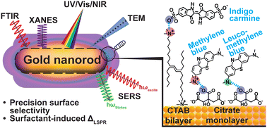 Graphical abstract: Targeted synthesis of gold nanorods and characterization of their tailored surface properties using optical and X-ray spectroscopy