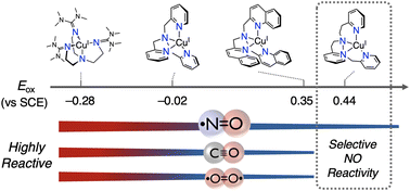 Graphical abstract: Reactivity of copper(i) complexes supported by tripodal nitrogen-containing tetradentate ligands toward gaseous diatomic molecules, NO, CO and O2