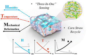 Graphical abstract: Electronic upcycling of corn straw: bio-based, elastic, conductive, cross-linked, eco-friendly hydrogels with multifunctionalities for flexible wearable sensors