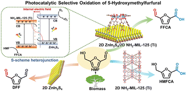 Graphical abstract: Engineering charge transfer in a two-dimensional S-scheme heterojunction photocatalyst via built-in electric field for selective biomass valorization