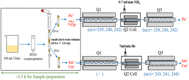 Graphical abstract: An emergency radiobioassay method for Pu, Am and Cm isotopes in urine samples using tandem quadrupole ICP-MS