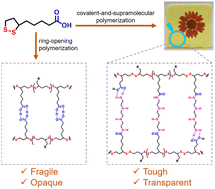 Graphical abstract: Supramolecular transparent plastic engineering via covalent-and-supramolecular polymerization