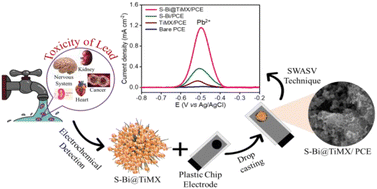 Graphical abstract: A modified MXene composite sensor with sulphur impurities for electrochemical detection of lead in the aqueous system