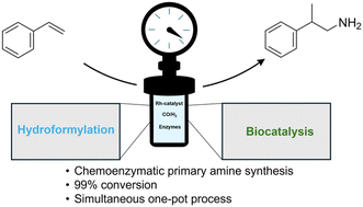 Graphical abstract: One-pot hydroaminomethylation of an alkene under formation of primary amines by combining hydroformylation at elevated syngas pressure and biocatalytic transamination in water
