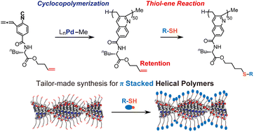 Graphical abstract: Side-chain modification of π-stacked helical poly(quinoline-2,3-diylmethylene) via thiol–ene reaction