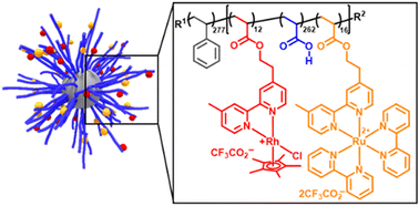 Graphical abstract: Block copolymer micelles as colloidal catalysts for photocatalytic NAD+ reduction
