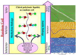 Graphical abstract: Effect of length and functionality of the linker between the main chain and the chiral pendant on the helical nature of chiral poly(ionic liquids)